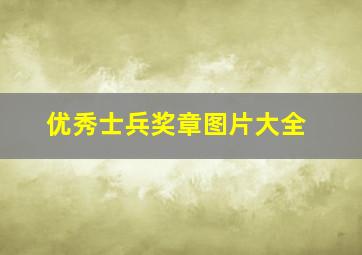 优秀士兵奖章图片大全