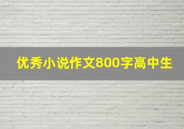 优秀小说作文800字高中生