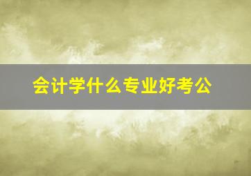 会计学什么专业好考公