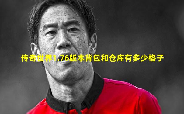 传奇世界1.76版本背包和仓库有多少格子