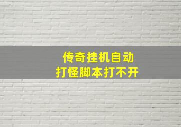 传奇挂机自动打怪脚本打不开