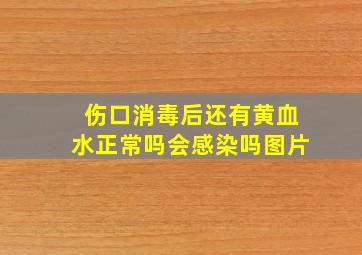 伤口消毒后还有黄血水正常吗会感染吗图片