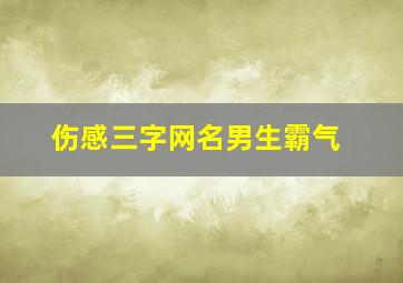 伤感三字网名男生霸气