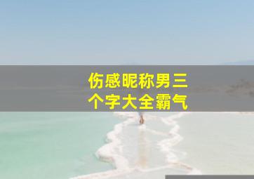 伤感昵称男三个字大全霸气