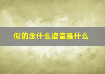 似的念什么读音是什么