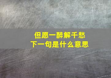 但愿一醉解千愁下一句是什么意思