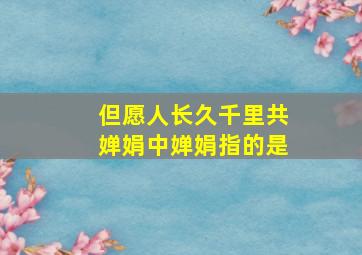 但愿人长久千里共婵娟中婵娟指的是