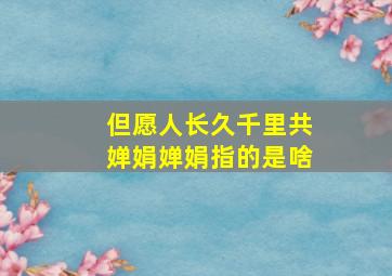 但愿人长久千里共婵娟婵娟指的是啥