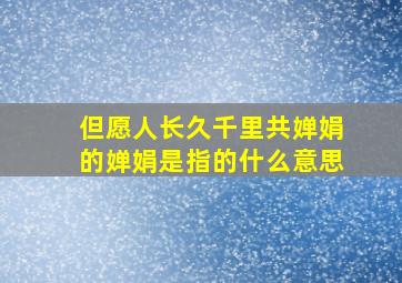 但愿人长久千里共婵娟的婵娟是指的什么意思