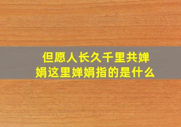 但愿人长久千里共婵娟这里婵娟指的是什么