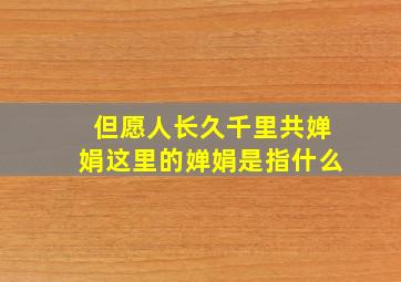 但愿人长久千里共婵娟这里的婵娟是指什么