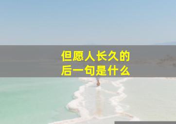 但愿人长久的后一句是什么