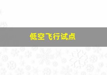 低空飞行试点