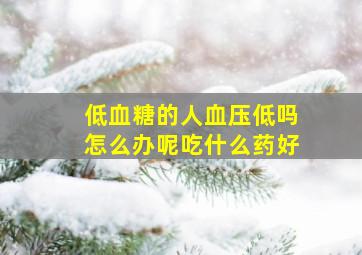 低血糖的人血压低吗怎么办呢吃什么药好