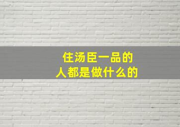 住汤臣一品的人都是做什么的