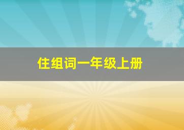 住组词一年级上册