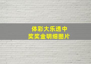 体彩大乐透中奖奖金明细图片