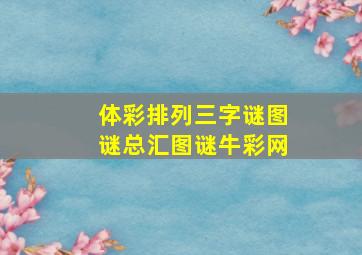 体彩排列三字谜图谜总汇图谜牛彩网