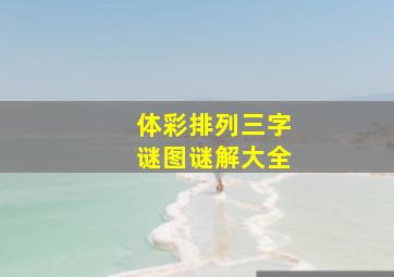 体彩排列三字谜图谜解大全