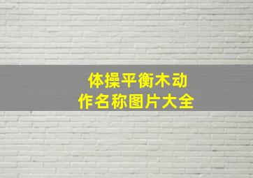 体操平衡木动作名称图片大全