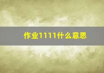 作业1111什么意思