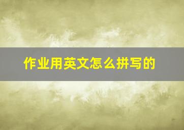 作业用英文怎么拼写的