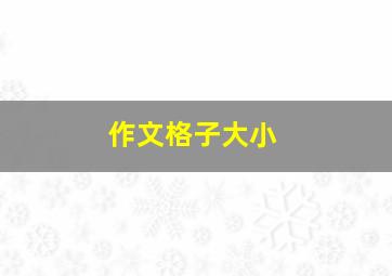 作文格子大小