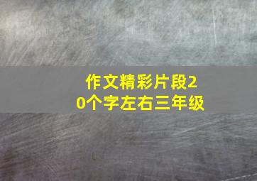 作文精彩片段20个字左右三年级