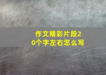 作文精彩片段20个字左右怎么写