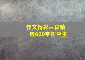 作文精彩片段精选600字初中生