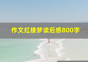 作文红楼梦读后感800字