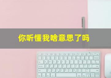 你听懂我啥意思了吗