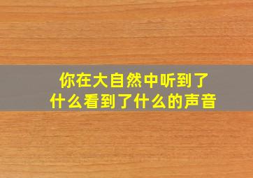 你在大自然中听到了什么看到了什么的声音