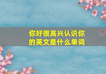 你好很高兴认识你的英文是什么单词