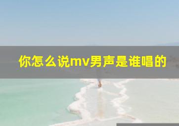 你怎么说mv男声是谁唱的