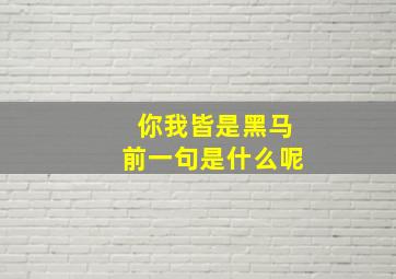 你我皆是黑马前一句是什么呢