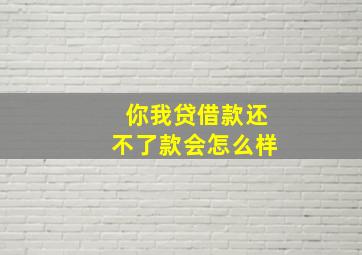 你我贷借款还不了款会怎么样