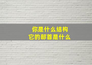 你是什么结构它的部首是什么