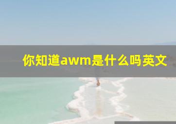 你知道awm是什么吗英文