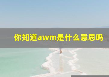 你知道awm是什么意思吗