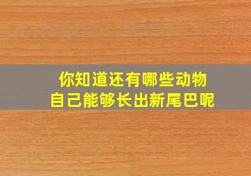 你知道还有哪些动物自己能够长出新尾巴呢