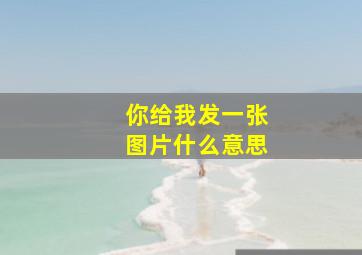 你给我发一张图片什么意思