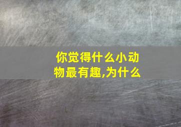 你觉得什么小动物最有趣,为什么