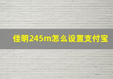 佳明245m怎么设置支付宝