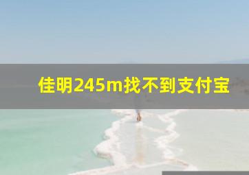 佳明245m找不到支付宝