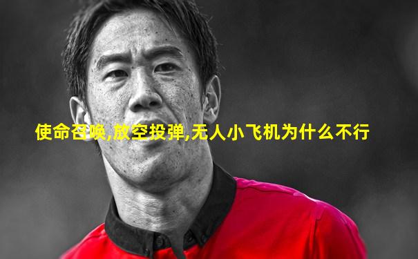 使命召唤,放空投弹,无人小飞机为什么不行