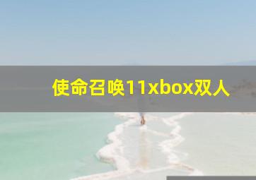 使命召唤11xbox双人