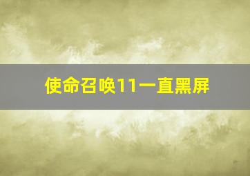 使命召唤11一直黑屏