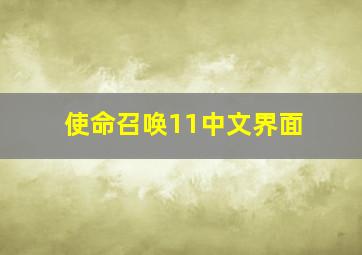 使命召唤11中文界面