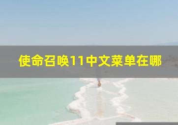 使命召唤11中文菜单在哪